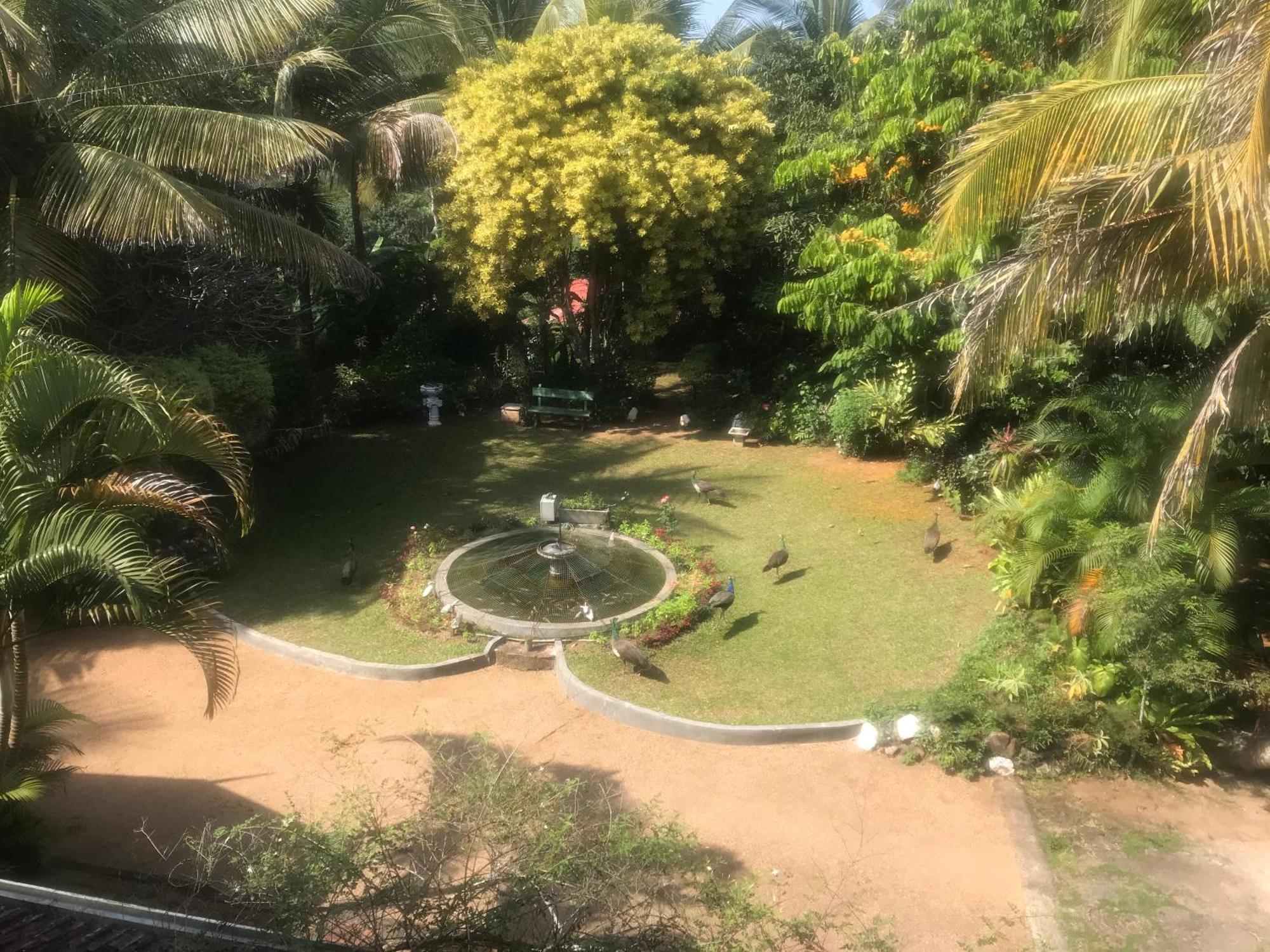Wattarantanne Homestay كاندي المظهر الخارجي الصورة